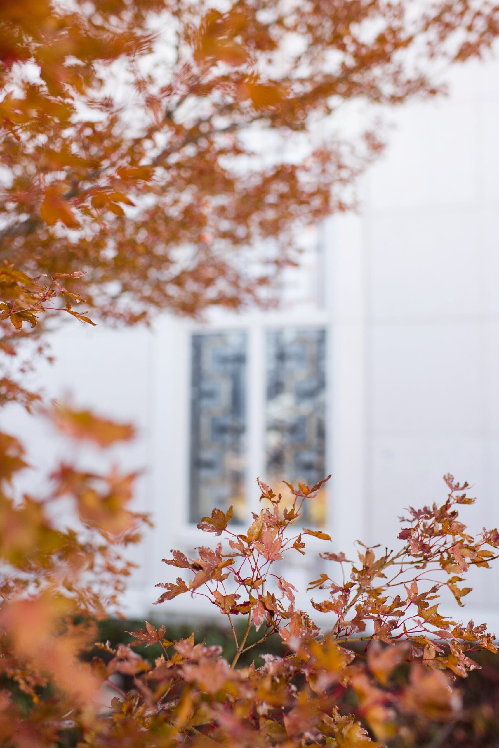 Bountiful Utah LDS Wedding by Michelle & Logan 