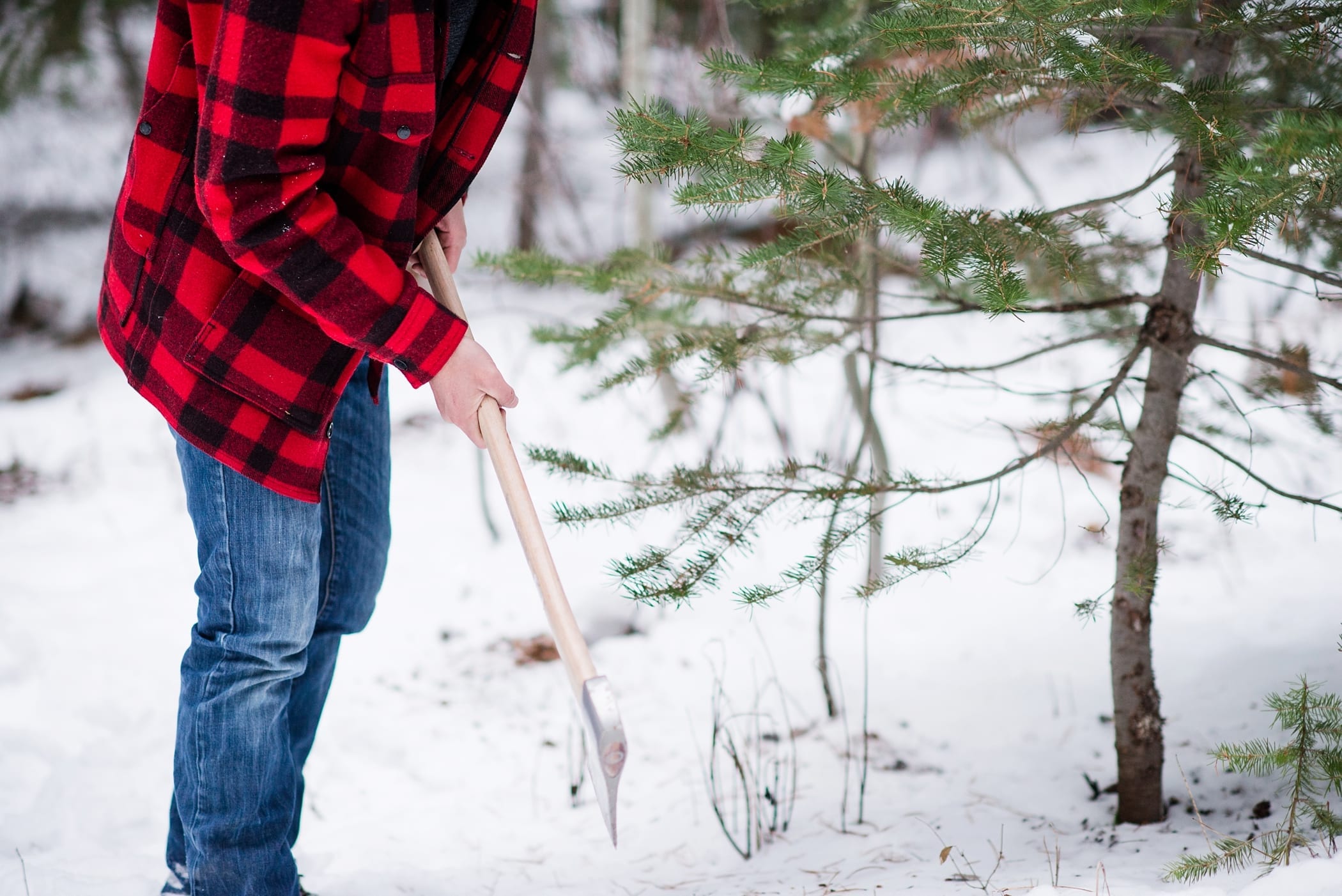 Cutting Down a Christmas Tree Anniversary Session by Michelle & Logan