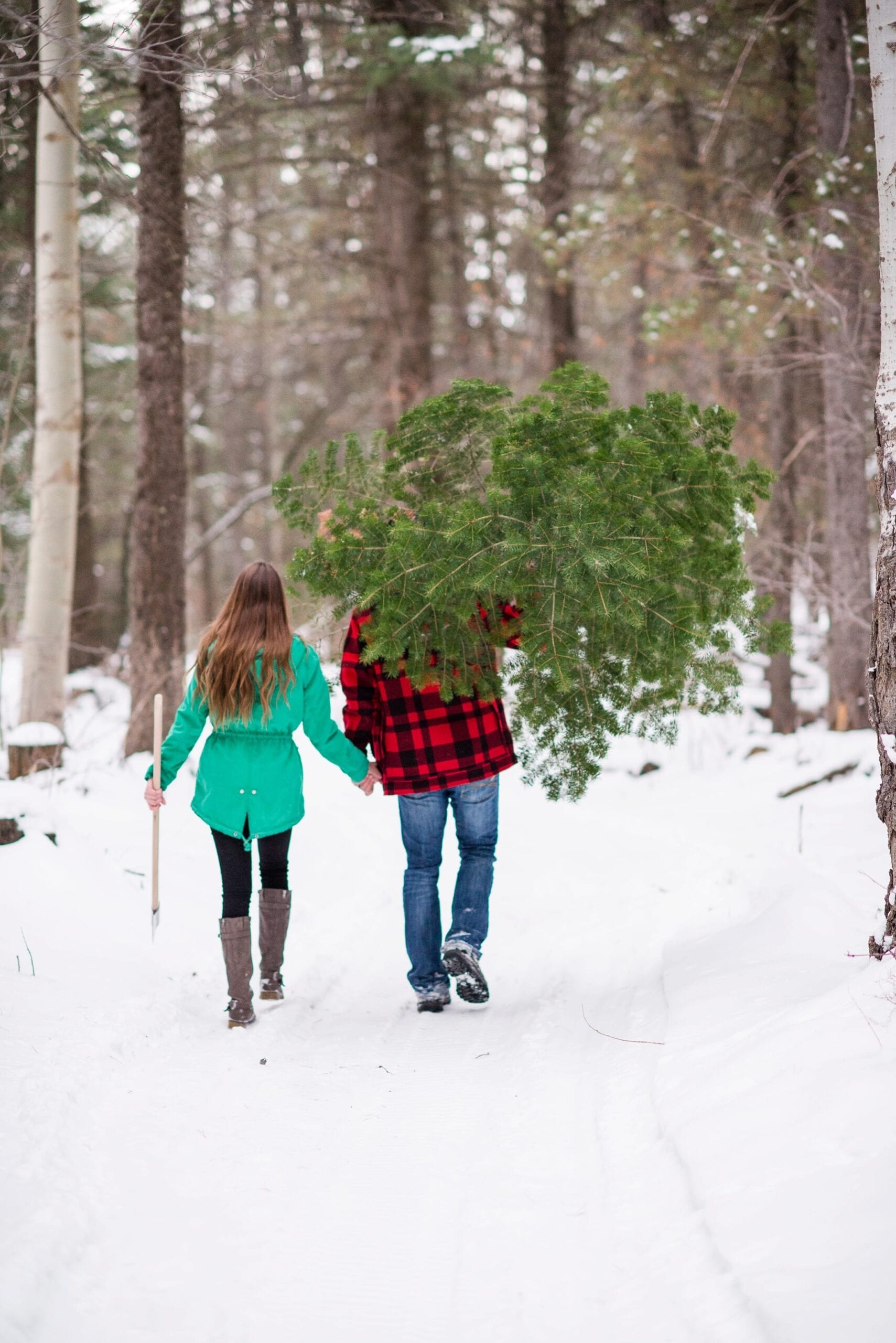 Cutting Down a Christmas Tree Anniversary Session by Michelle & Logan