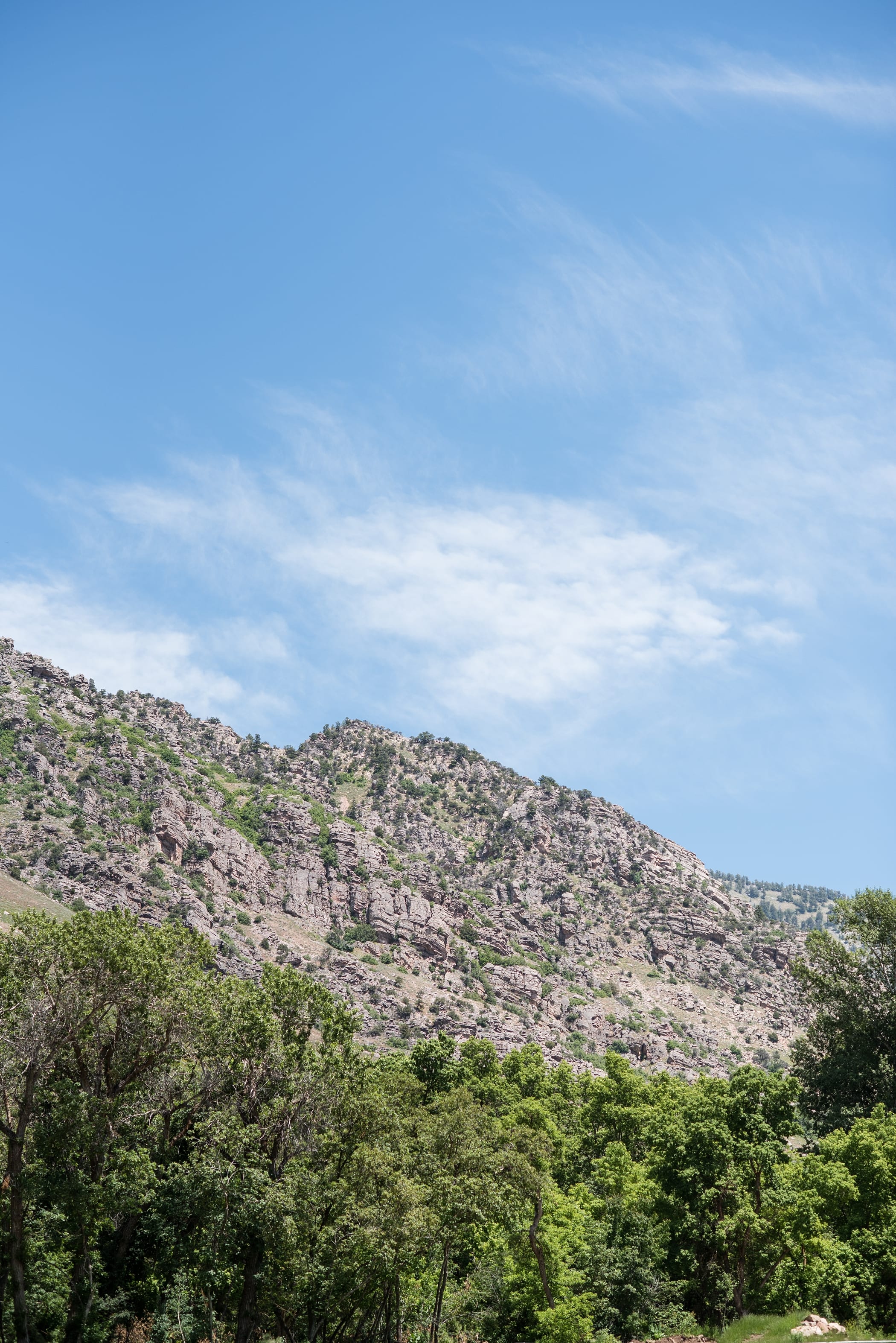 Sundance Utah Wedding Photographer