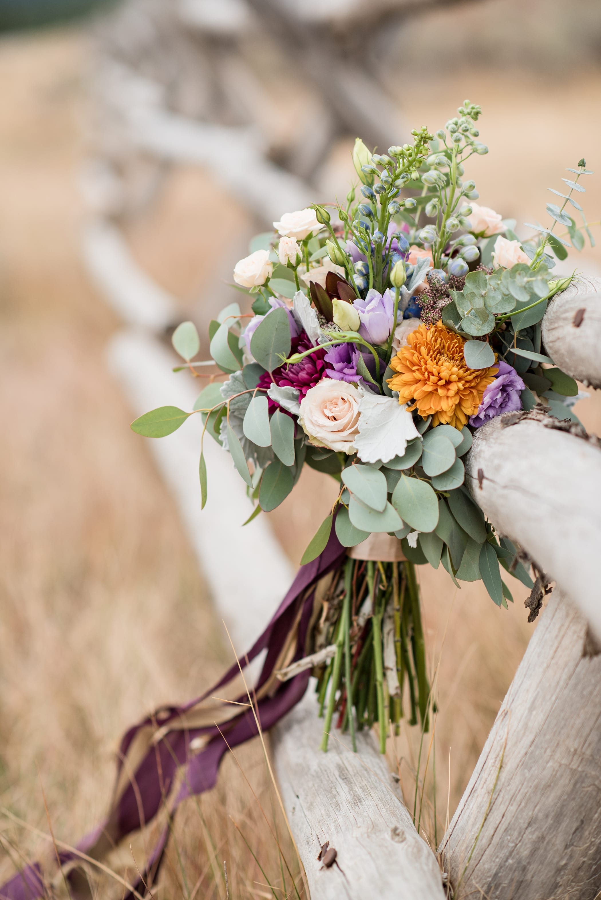 Island Park Idaho Fall Wedding Photographer- Michelle & Logan