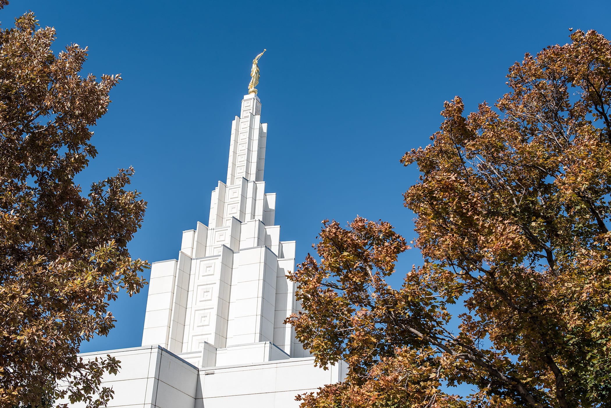Idaho Falls LDS Temple Fall Wedding | Michelle & Logan