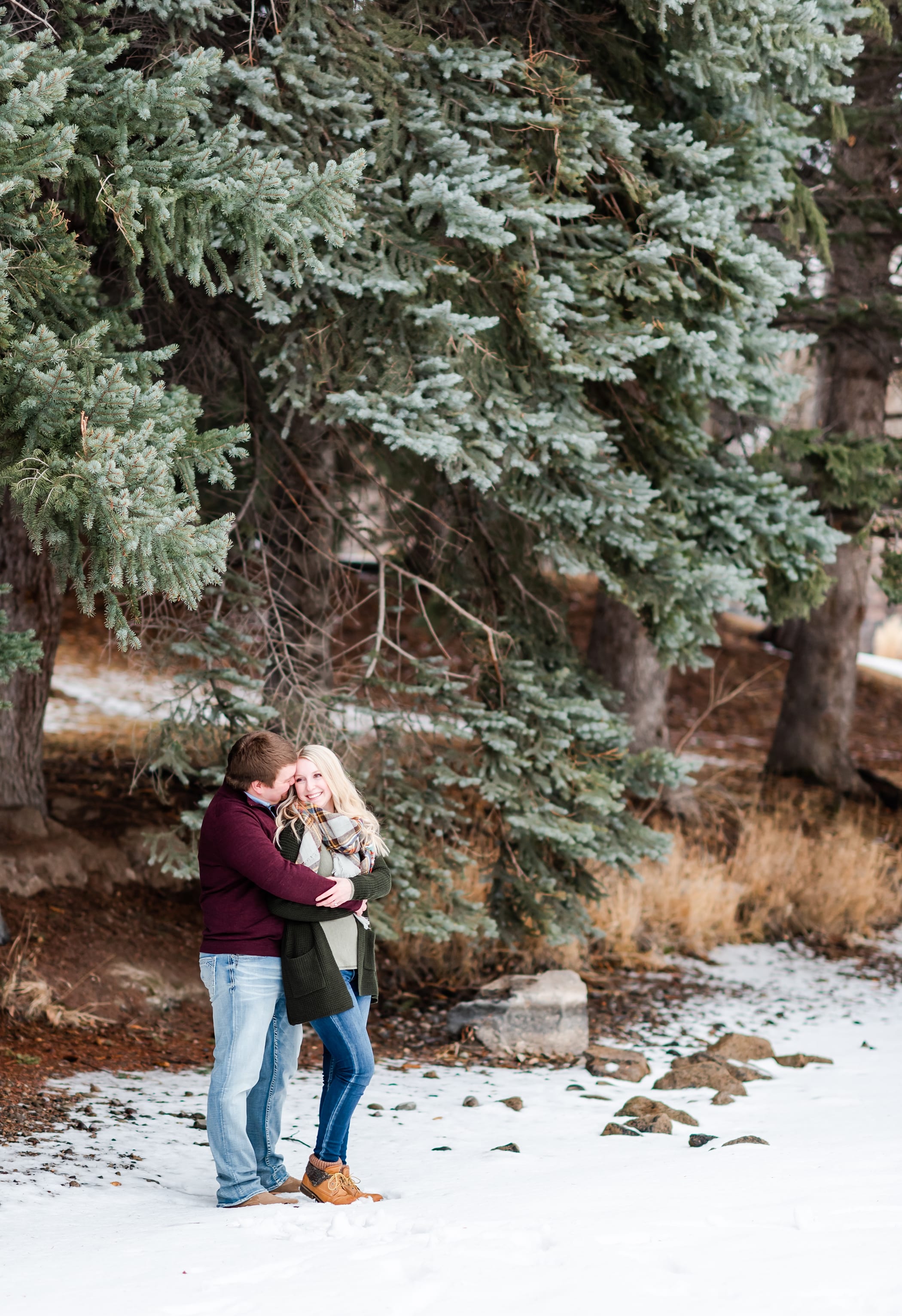 Idaho Falls Winter Pine Tree Engagement Photo