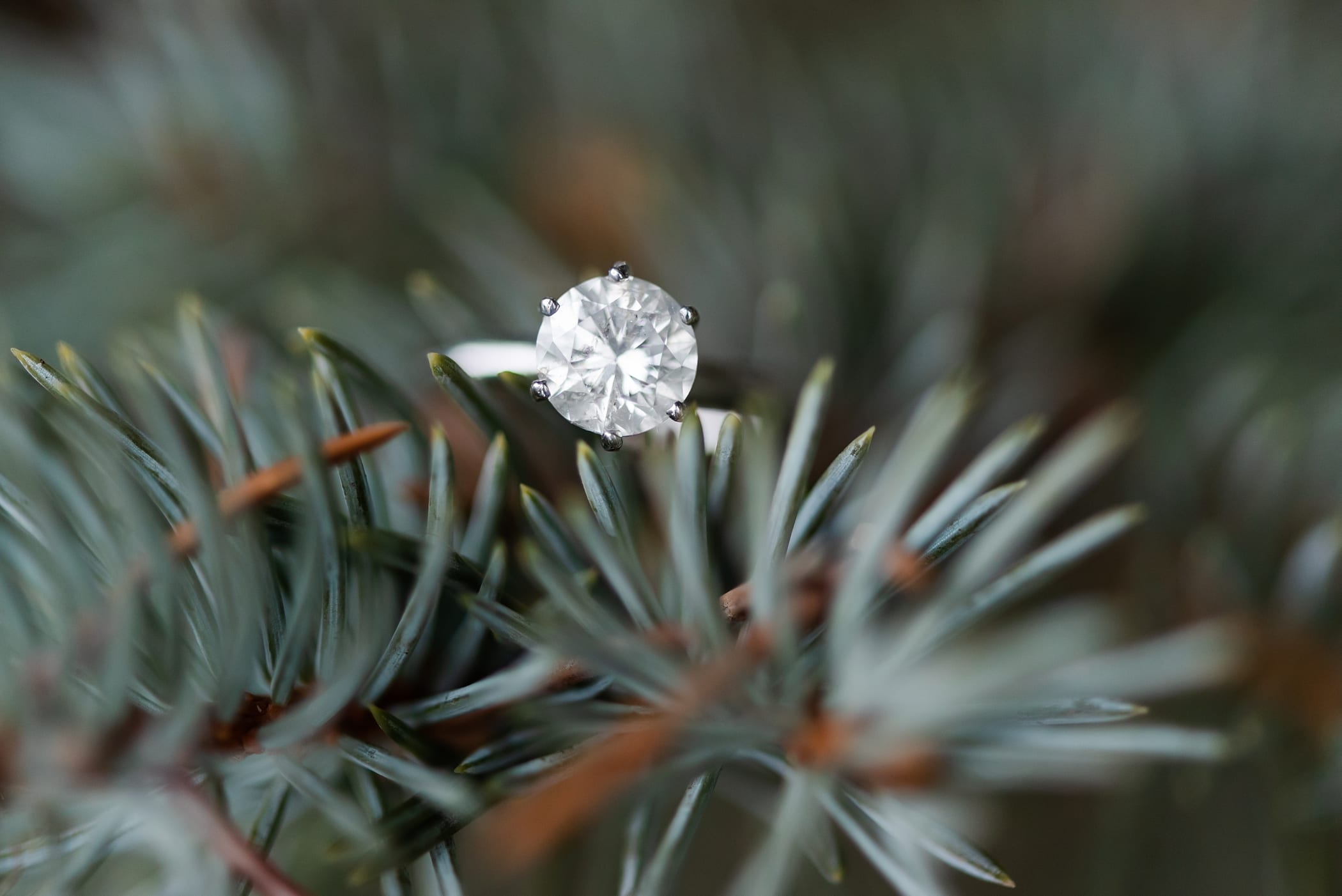 Solitaire Engagement Ring with Round diamond engagement photo