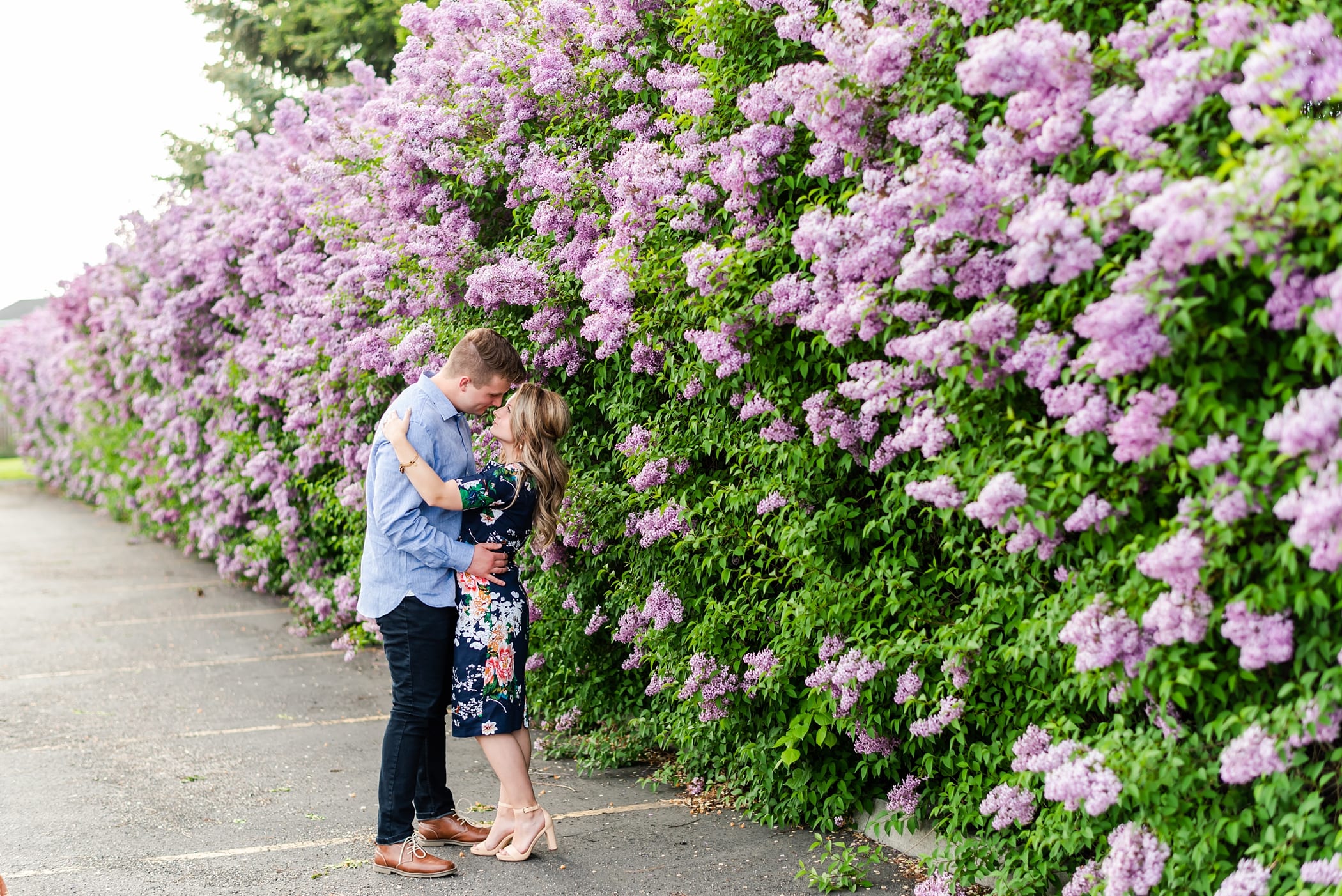 Lilac tree engagement session