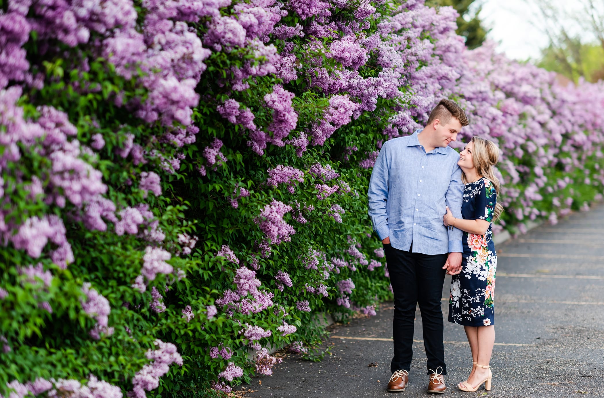 lilac tree engagement session 