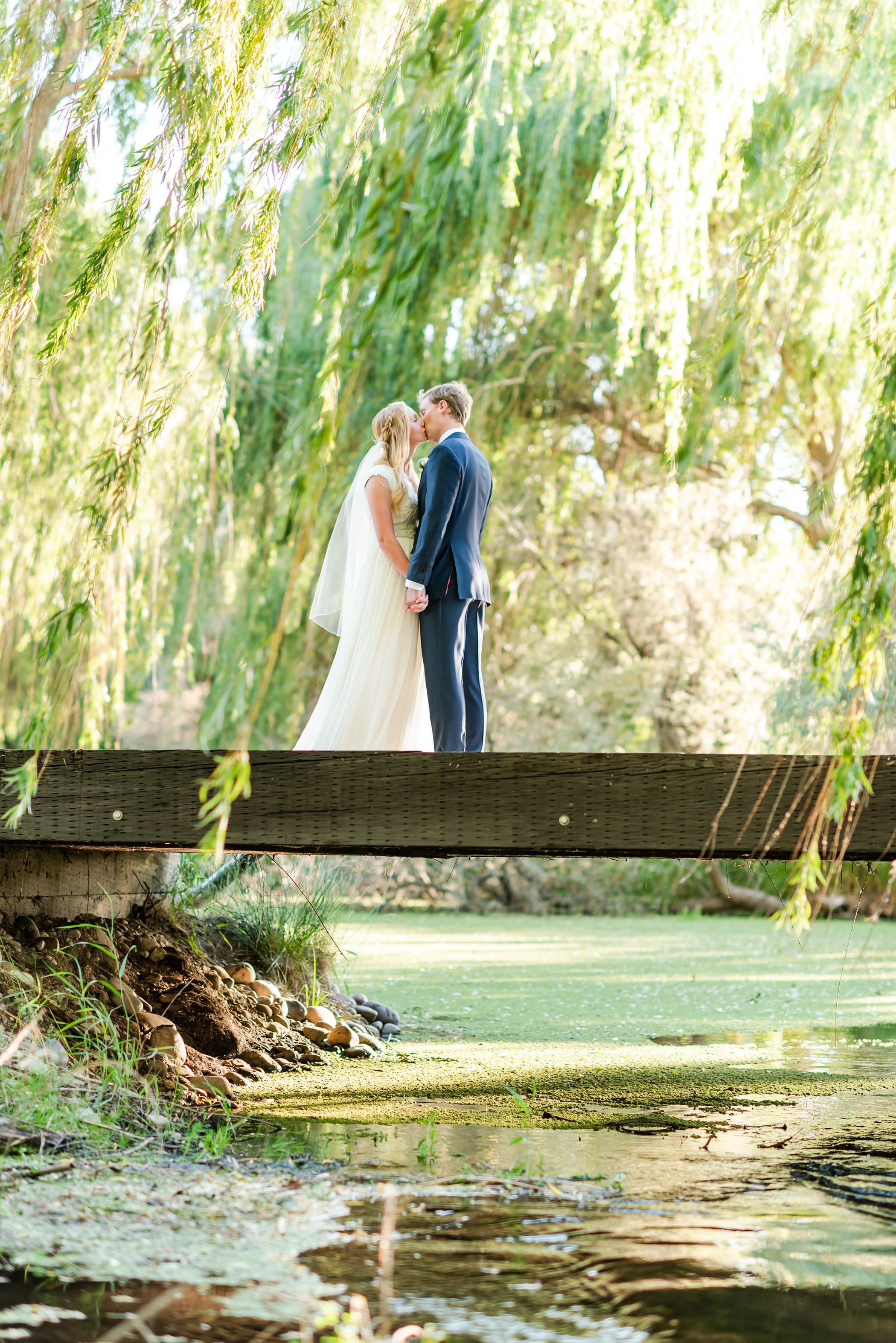 Bride and groom in willow trees